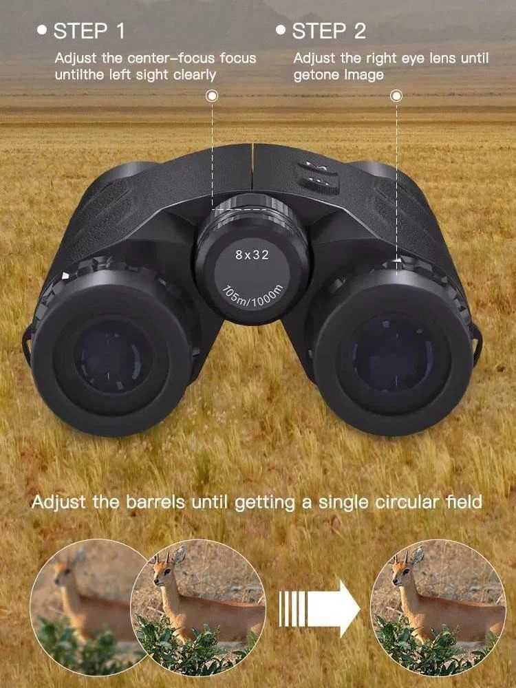 d2.jpg