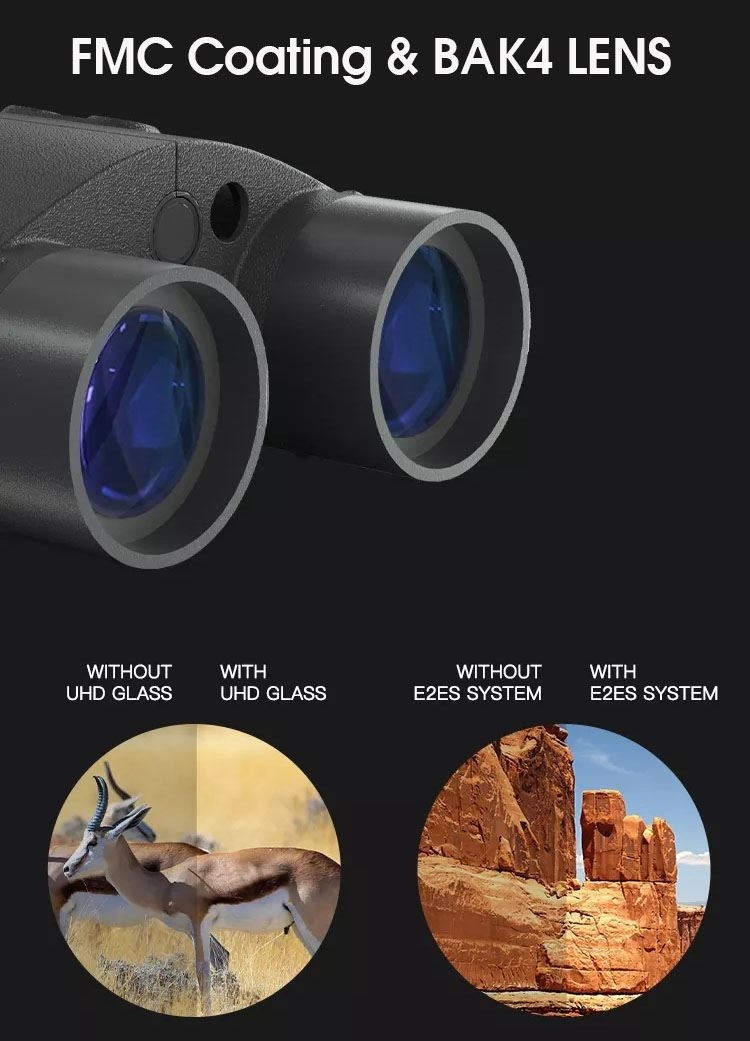 d4.jpg